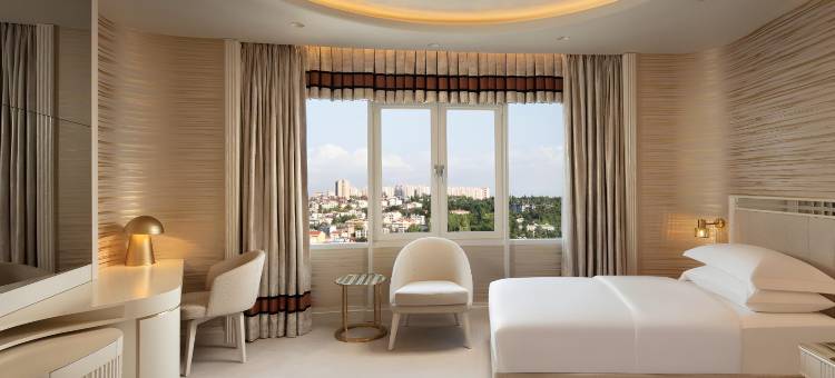 安卡拉喜来登酒店及会议中心(Sheraton Ankara Hotel & Convention Center)图片