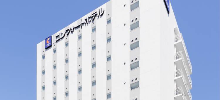 和歌山舒适酒店(Comfort Hotel Wakayama)图片