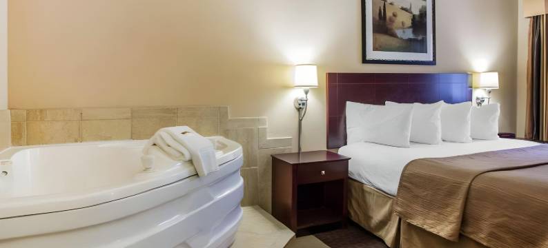 凯艺套房酒店(Quality Inn & Suites)图片