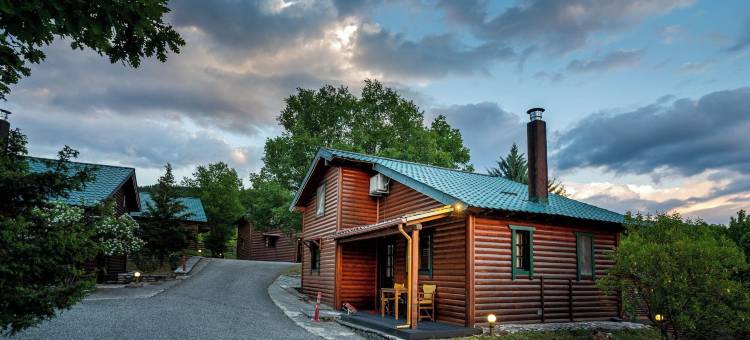 里库雷西村木屋酒店(Chalet Likouresi Village)图片