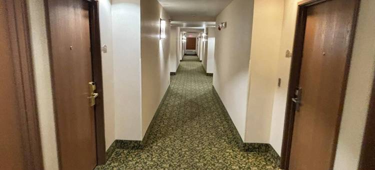 智选假日套房酒店俄克拉荷马城 - 伯大尼(Holiday Inn Express & Suites Oklahoma City - Bethany)图片