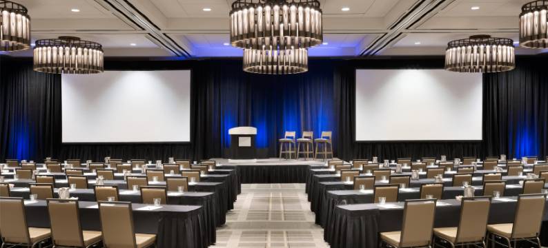 凯悦酒店-绍姆堡芝加哥(Hyatt Regency Schaumburg Chicago)图片