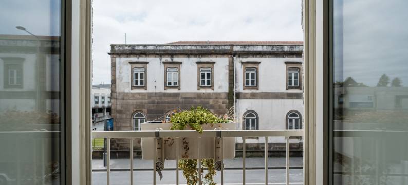 GuestReady - The New Olive图片