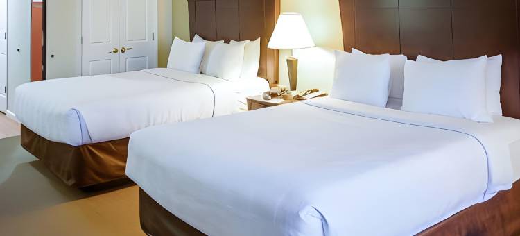 诺克斯维尔北 I-75 美茵斯坦套房酒店(MainStay Suites Knoxville North I-75)图片