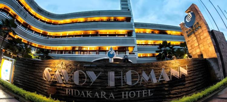 萨沃伊霍曼酒店(Hotel Savoy Homann)图片
