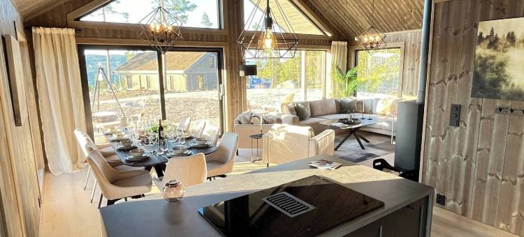 豪华度假屋，滑雪，桑拿，远程办公(Luxury Holiday Home, Skiing, Sauna, Remote Office)图片