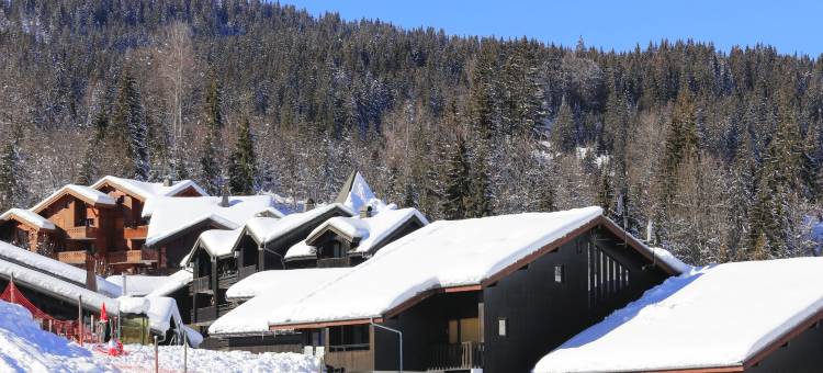 Apartment in Morillon near Ski Resort图片