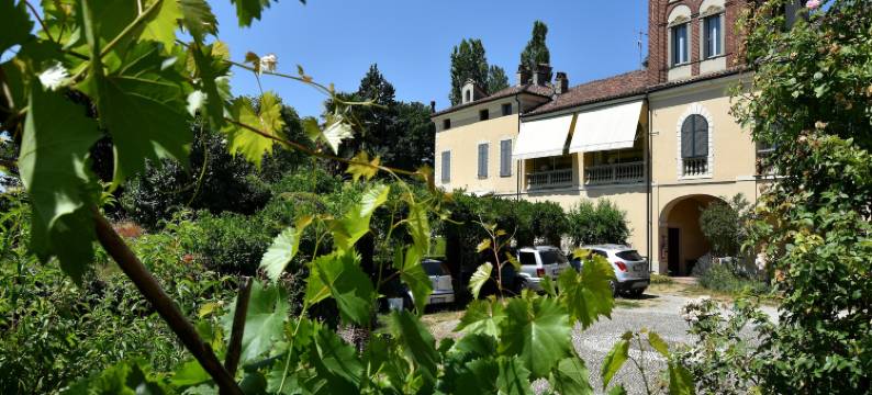Garden Apartment in Casale图片