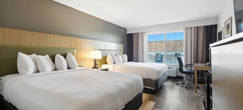 梅里尔维尔丽怡酒店(Country Inn & Suites by Radisson, Merrillville, IN)图片