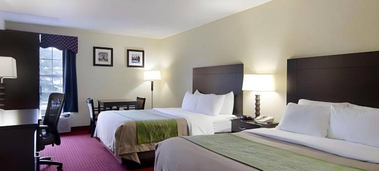小石城西凯艺套房酒店(Quality Inn & Suites Little Rock West)图片