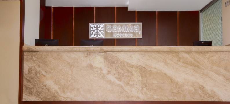 坦皮科迦马酒店(Gamma Tampico)图片