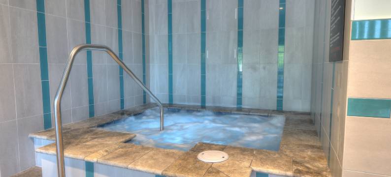 鸽子谷会议中心假日酒店及套房(Holiday Inn & Suites PIGEON FORGE CONVENTION CENTER by IHG)图片