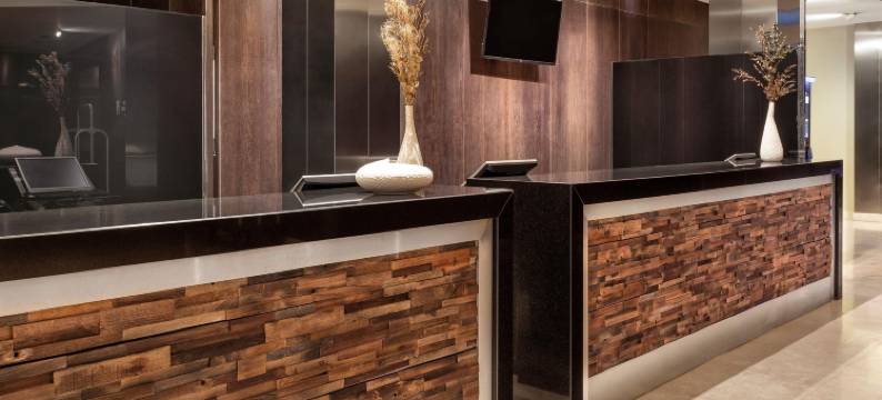 美利亚索勒尼夫酒店(Melia Sol Y Nieve)图片