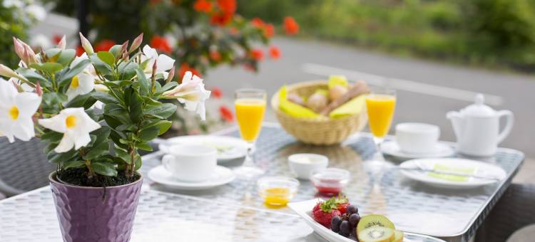 埃默里奇酒店(Hotel Emmerich)图片