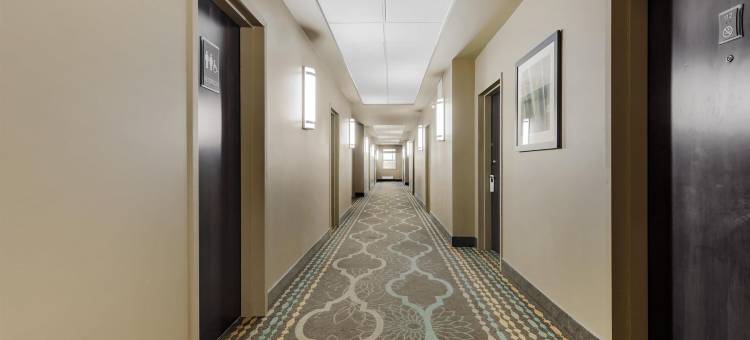 穆斯乔贝斯特韦斯特优质酒店(Best Western Plus Moose Jaw)图片