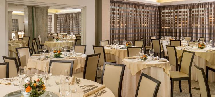 尼雅酒店(Enea Hotel Pomezia)图片