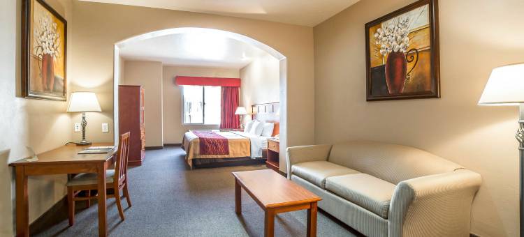 会议中心内舒适酒店(Comfort Inn at Convention Center)图片