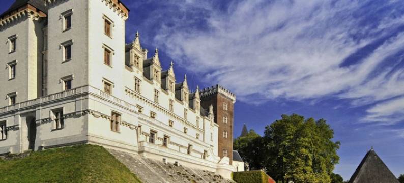 波城比利牛斯诺富特酒店(Novotel Pau Pyrénées)图片