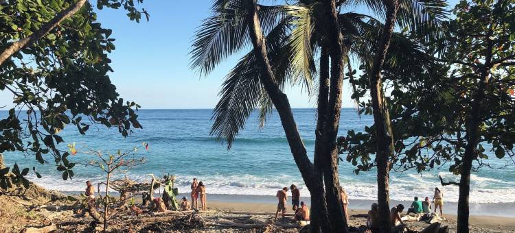 沙滩脚趾旅舍(Sandy Toes Hostel)图片