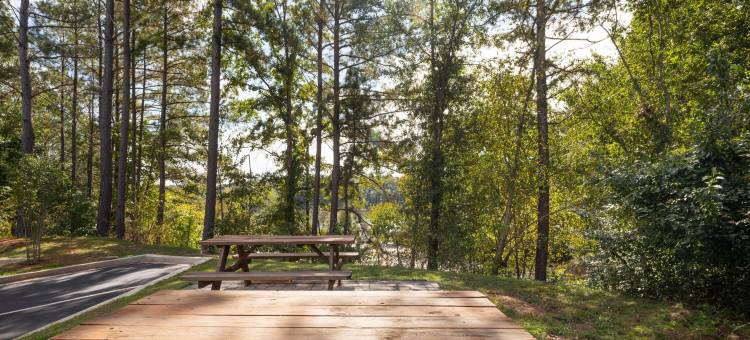 安德森温德姆戴斯酒店(Days Inn by Wyndham Anderson/Clemson Area)图片