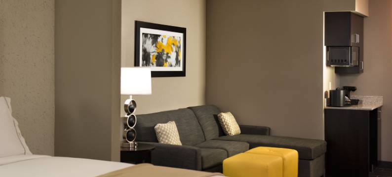 麦迪逊中心智选假日酒店及套房(Holiday Inn Express & Suites MADISON CENTRAL by IHG)图片