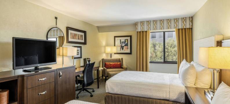 达克斯酒店(Hotel Dax)图片