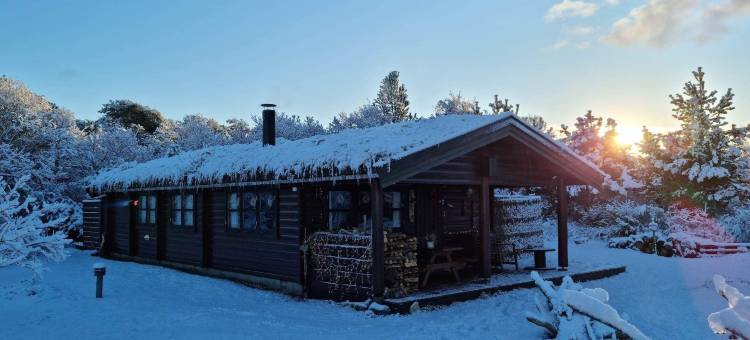 斯卡根迷人的挪威木屋 - 舒适的度假等待着您(Charming Norwegian Log Cabin in Skagen Cozy Retreat Awaits)图片