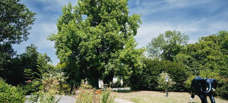 尚帕涅武器酒店及水疗中心(Armes de Champagne)图片