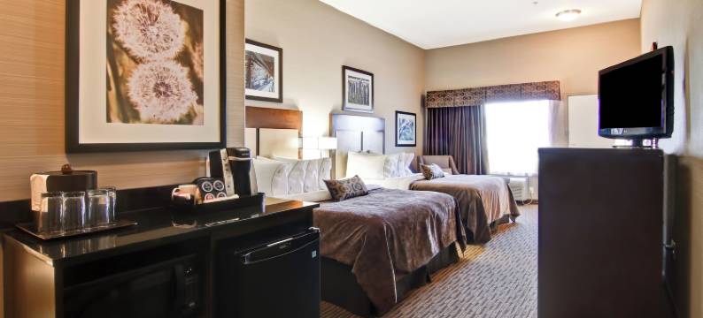 阿西尼波亚卡纳尔塔酒店(Canalta Hotel Assiniboia)图片