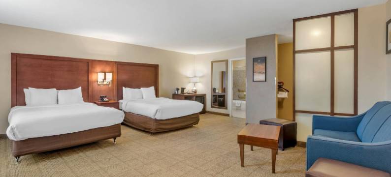 舒适套房酒店(Comfort Suites)图片