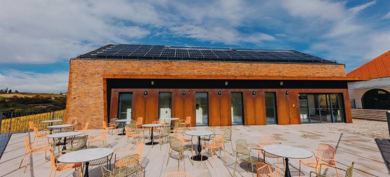 特尔博兹葡萄酒精品酒店(Wine & boutique hotel Terbotz)图片