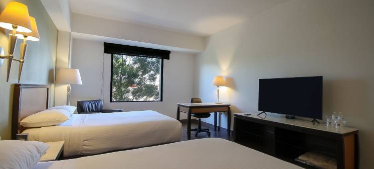 莫雷利亚图罗特尔酒店(Hotel Turotel Morelia)图片