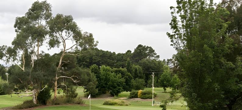 纳拉邦达住宿酒店(Punthill Narrabundah)图片