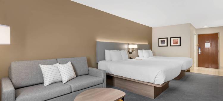 舒适酒店(Comfort Inn)图片