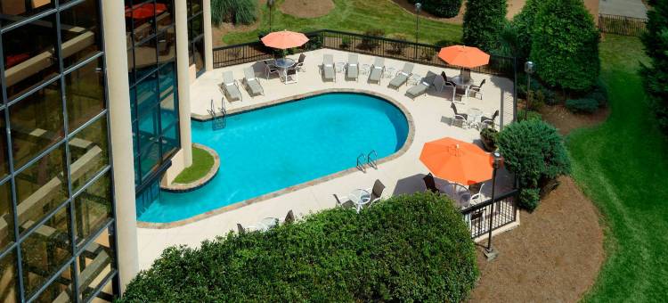 夏洛特机场喜来登酒店(Sheraton Charlotte Airport Hotel)图片