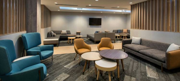纽约布鲁克林TownePlace Suites酒店(TownePlace Suites New York Brooklyn)图片