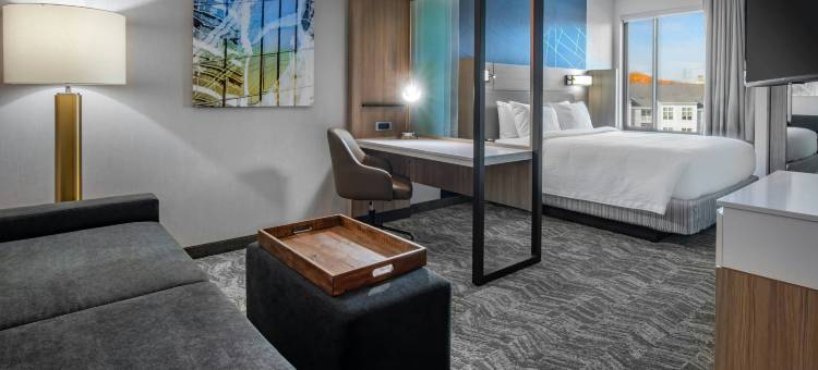 伦瑟姆普兰维尔SpringHill Suites酒店(SpringHill Suites Wrentham Plainville)图片