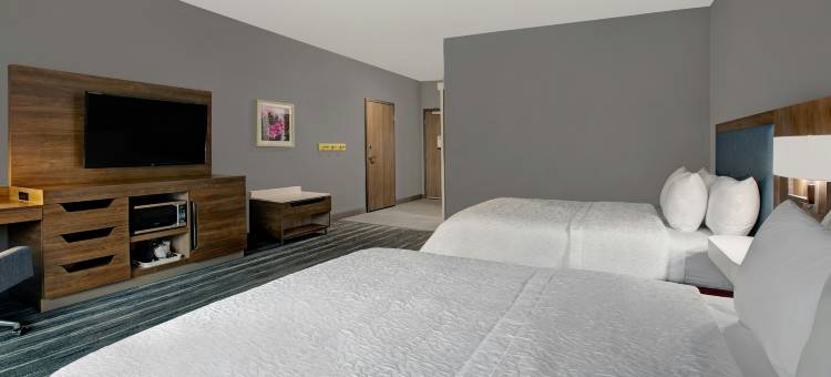 韦斯拉科欢朋酒店(Hampton Inn Weslaco)图片
