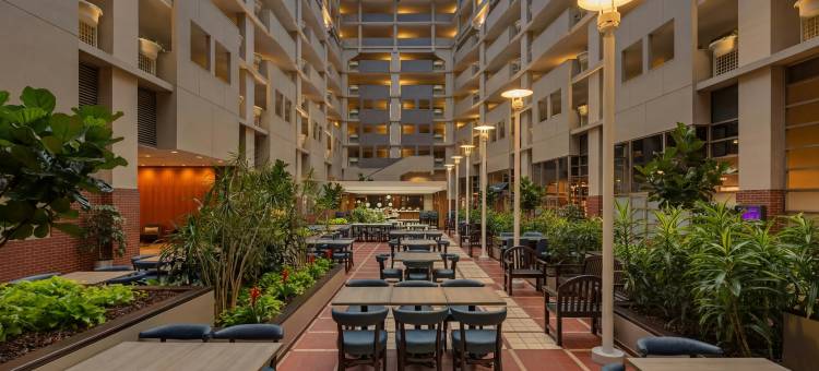 亚特兰大希尔顿大使套房酒店-百年奥林匹克公园(Embassy Suites by Hilton Atlanta at Centennial Olympic Park)图片