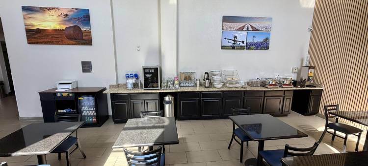拉伯克贝斯特韦斯特旅馆(Best Western Lubbock Inn)图片