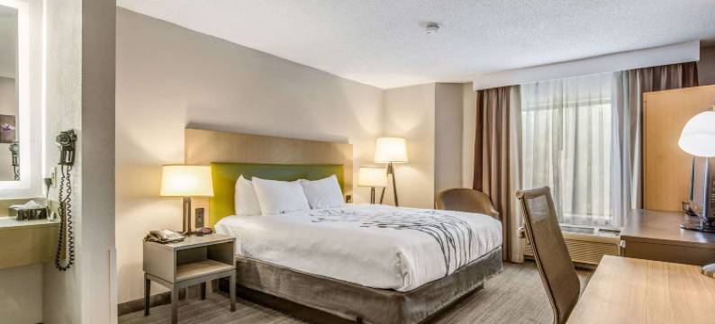 米尔堡舒眠酒店 - 近卡罗温兹大道(Sleep Inn Fort Mill Near Carowinds Blvd)图片