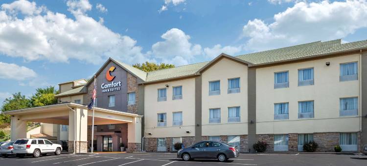 舒适套房酒店(Comfort Inn & Suites)图片