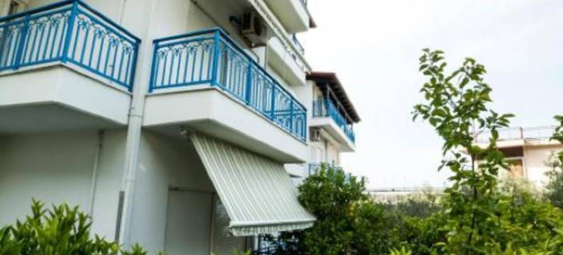 德利斯酒店(Hotel Dellis)图片