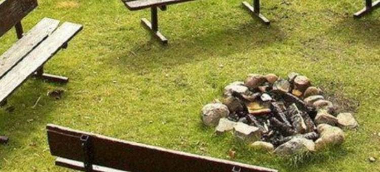 拉古纳海滩农场酒店(The Ranch at Laguna Beach)图片