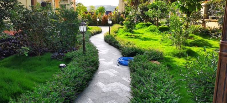 别墅之家自驾游(骆坑口大桥分店)图片