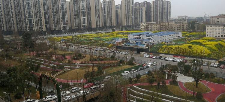 风雅loft复式公寓民宿(红光大道分店)图片
