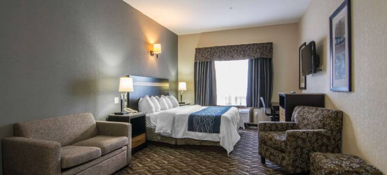 舒适套房酒店(Comfort Inn & Suites)图片