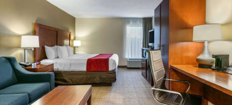 查塔努加市中心南区舒适酒店(Comfort Inn Downtown)图片