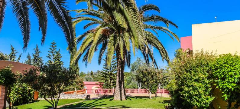 科利纳乡村酒店(Colina Village)图片