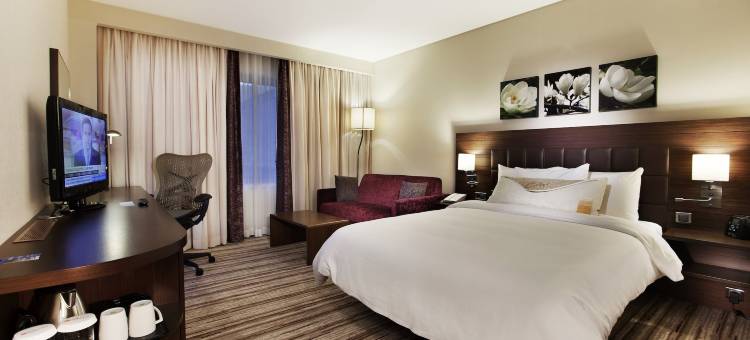 希尔顿花园桑尼乌法酒店(Hilton Garden Inn Sanliurfa)图片